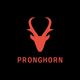 Pronghorn