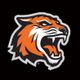 RIT Women's Hockey