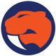 Sandringham Sabres