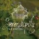 Serendipity | Winery • Coffee • Events | Stilwell KS