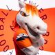 broncosmiles5280
