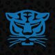 Birmingham Panthers Netball