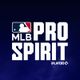 MLB PRO SPIRIT