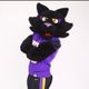 TC Panther