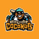 Loco Beach Coconuts