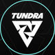 Tundra Esports - Dota 2